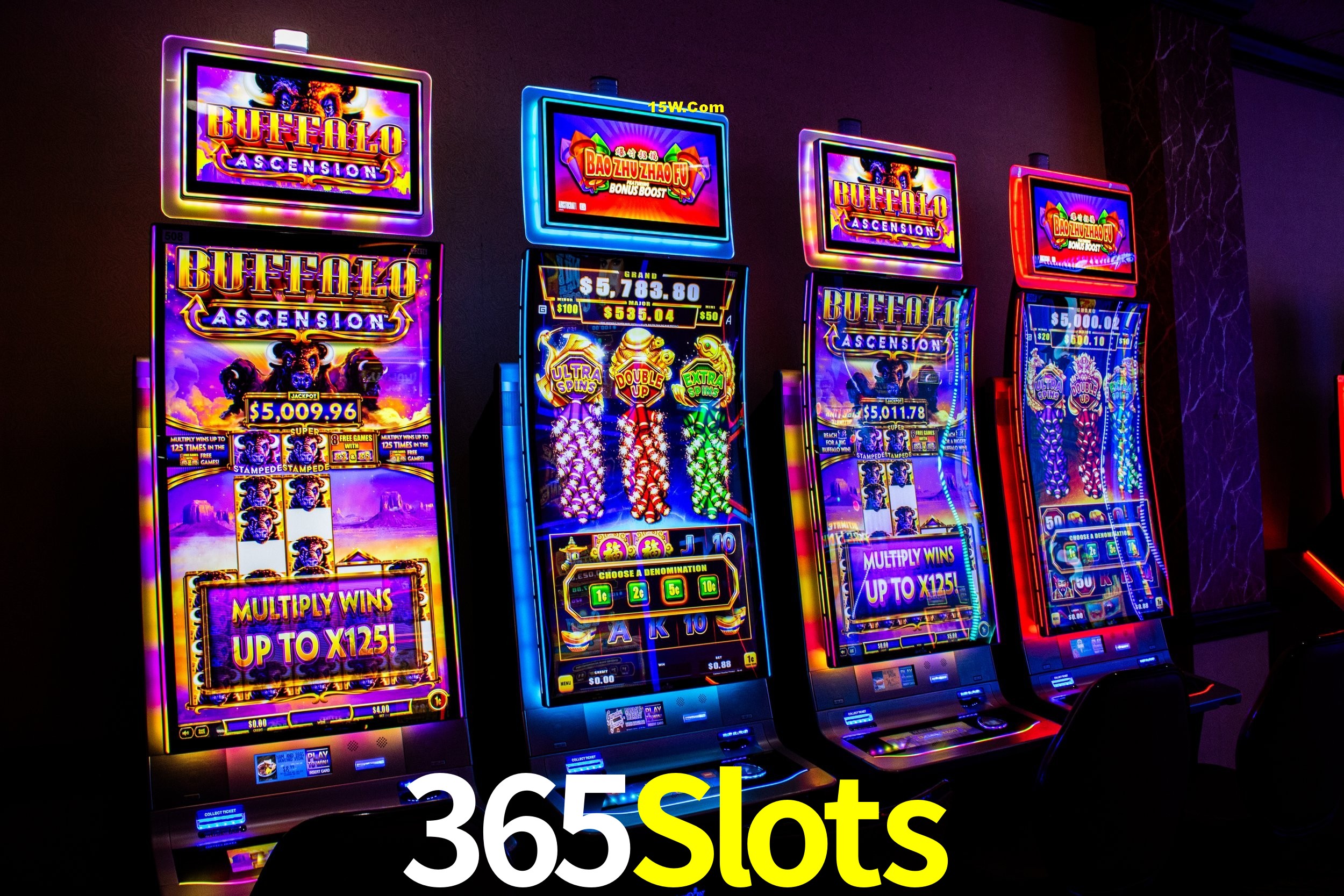 Casino Ao Vivo 365Slots
